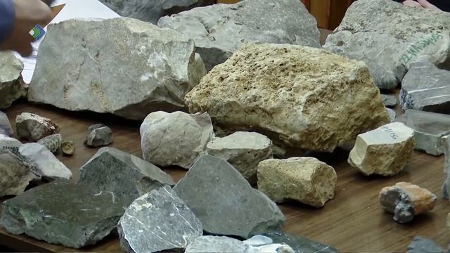В День российской науки Коми научный центр открыл двери для всех желающих смотреть онлайн