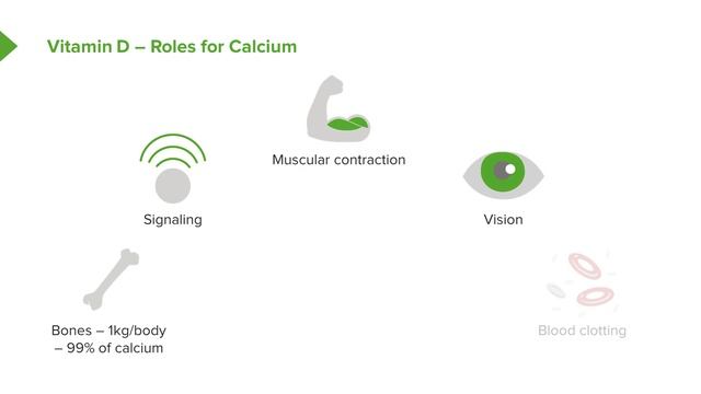 01.05 Vitamin D3 And Calcium