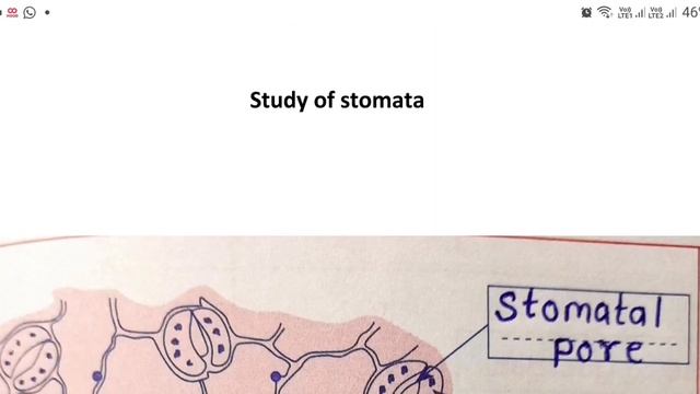 Science And Technology Practical Book/Class 9th/Science 2/Experiment 8 & 9/Mathematics Easy Way