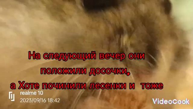 хомяк Лавр (часть 2) смотреть онлайн