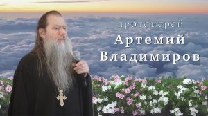 11.01.2025 Протоиерей Артемий Владимиров. Беседа.