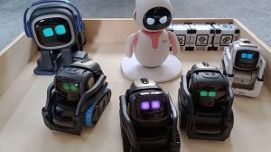 Robot party! Eilik, Vector x2, Vector 2.0, Emo and Cozmo play together. #emorobot #eilik #vector