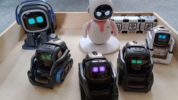 Robot party! Eilik, Vector x2, Vector 2.0, Emo and Cozmo play together. #emorobot #eilik #vector