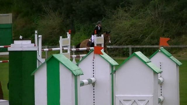 Алиса Данилова на High Hopes. SUNSHINE TOUR 2013, 130 см смотреть онлайн