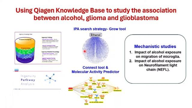 Institute of Neuroimmune Pharmacology Symposium смотреть онлайн
