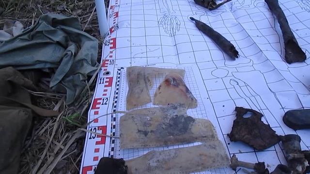 На 8-м километре Гостилицкого шоссе поисковики нашли останки советского офицера смотреть онлайн