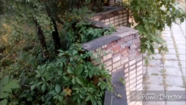 Залезли на забор ПАЛИВО!!! смотреть онлайн
