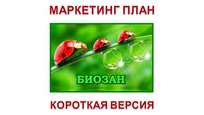 Маркетинг БИОЗАН. Презентация за 4 минуты смотреть онлайн