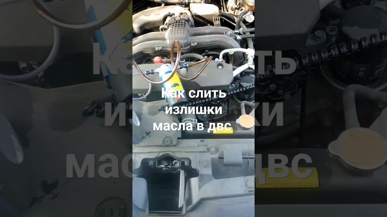 19 сентября 2023 г. смотреть онлайн