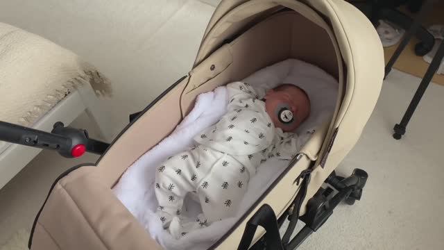 ОБЗОР НАШЕЙ НОВОЙ КОЛЯСКИ Babyzen Yoyo 2 в 1