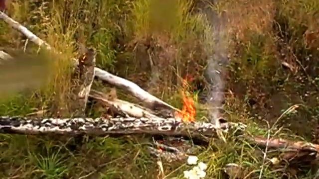 Фото, видео репортаж о работе в Канаде (Британская Колумбия, Юкон) смотреть онлайн