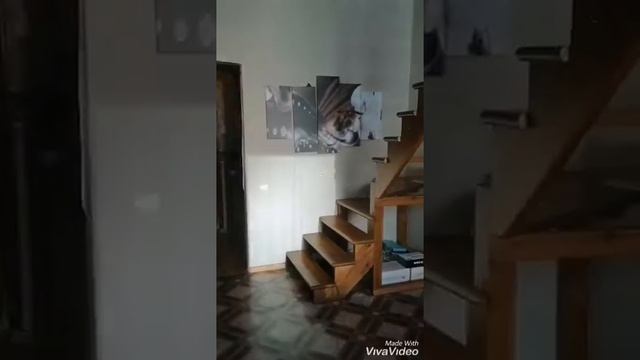 Отправить смотреть онлайн