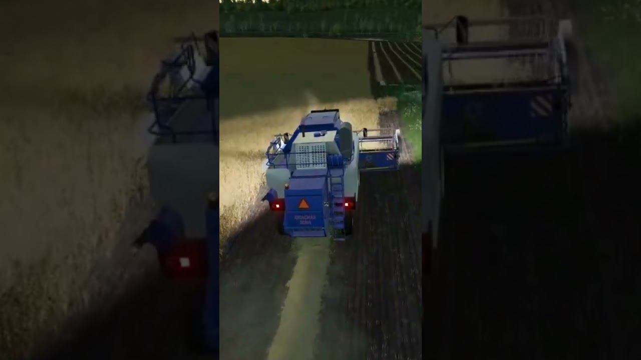 Уборка пшеницы смотреть онлайн