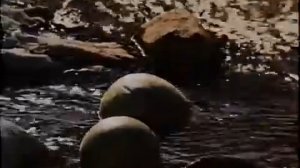 "Афганец" фильм.