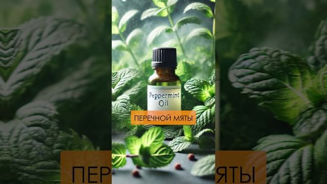 КАК быстро избавиться от головной боли? #эфирныемасла #головнаяболь #мигрень смотреть онлайн