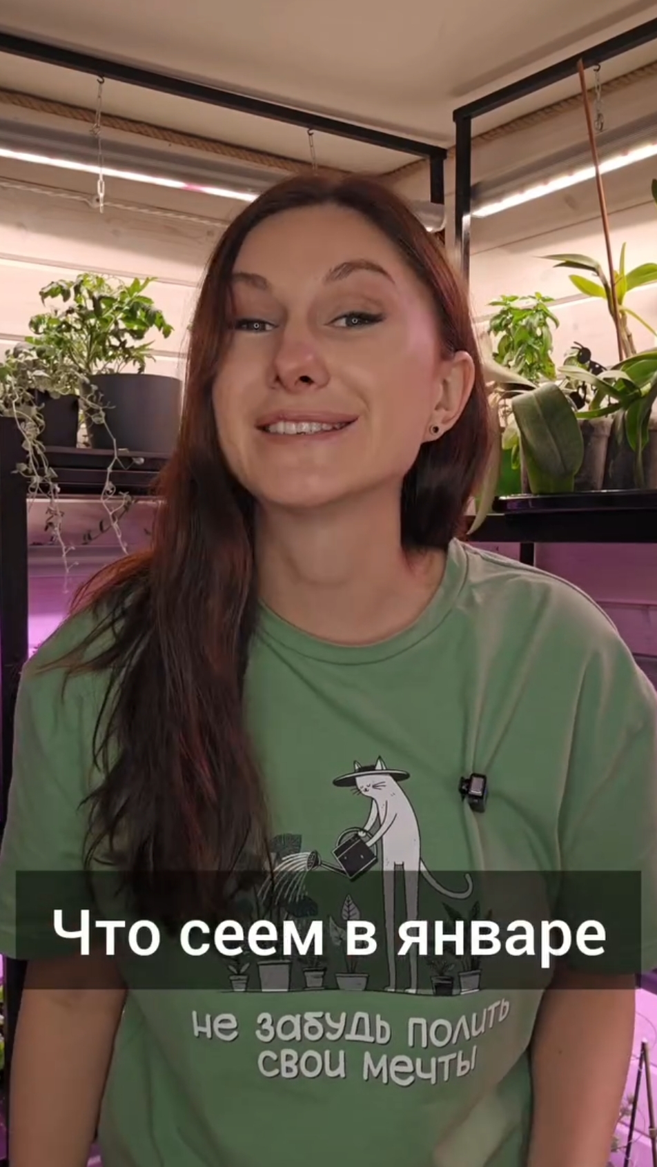 Что сеять в январе? смотреть онлайн