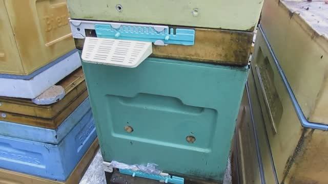 наращивание пчел в зиму в октябре, что было в сентябре, что стало в январе, обновление 13.01.2025 смотреть онлайн