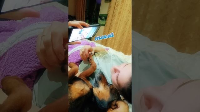 Любимки мои❤️ смотреть онлайн