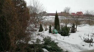 День тишины