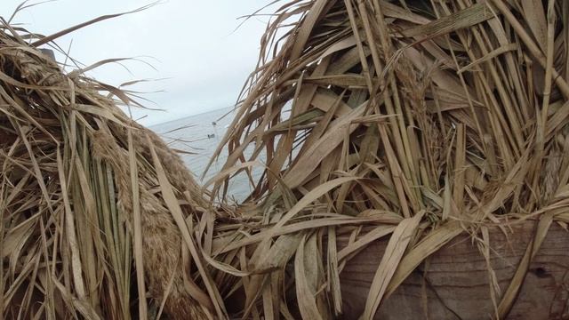 Первые трофеи C  Benelli Montefeltro Synthetic