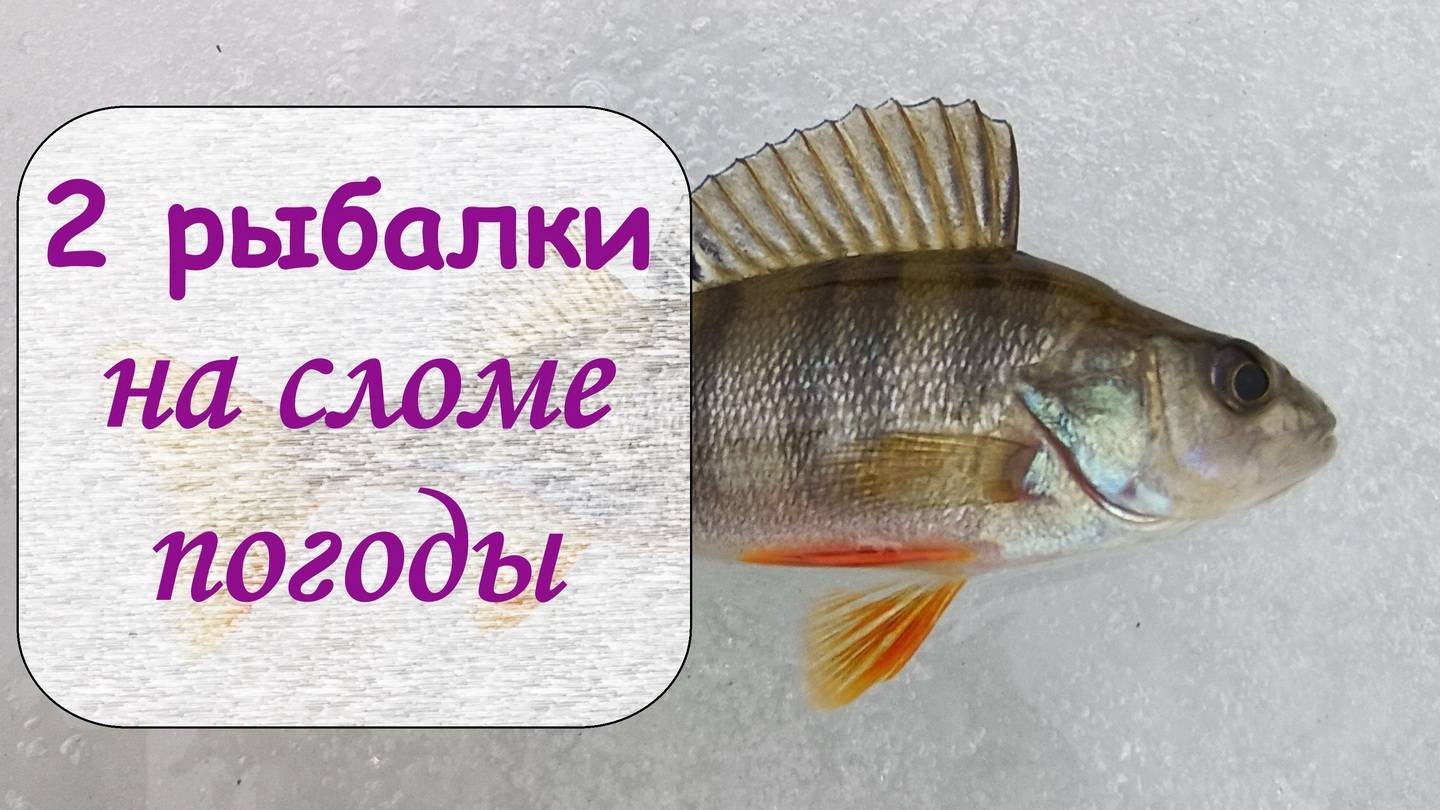 2 рыбалки на сломе погоды смотреть онлайн