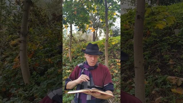 Александр Пушкин - Осень смотреть онлайн