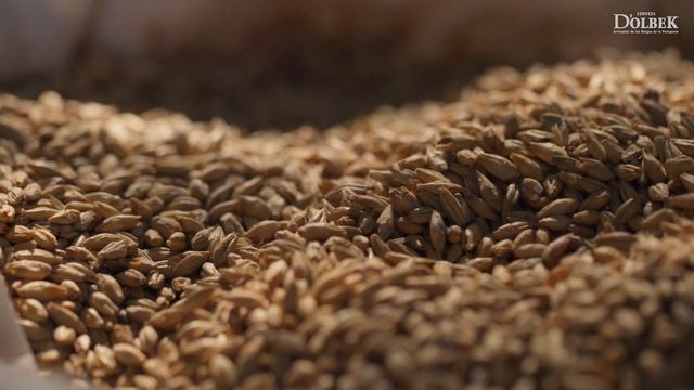 Cerveza D'olbek: Capítulo 5 "Charlie y la fábrica de cerveza" смотреть онлайн