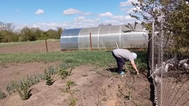 Физзарядка. Борьба с травой. Обалденный пирог. Живём в станице. смотреть онлайн