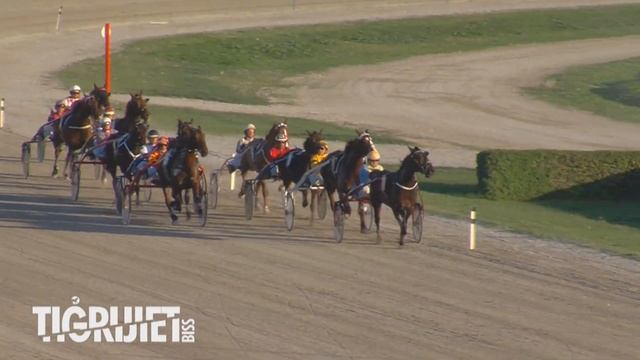 Race 9 YouTube 1080p смотреть онлайн