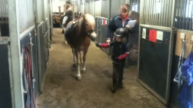 SunneRyttarförening_Käpphäst смотреть онлайн