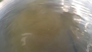 Пляжный коп.Копали до посинения)