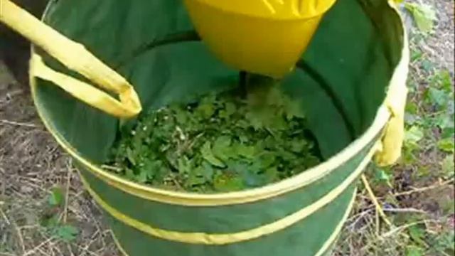 Mon jardin BRF en cadre mai 2010.wmv смотреть онлайн