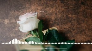 Джизус  Группа Крови