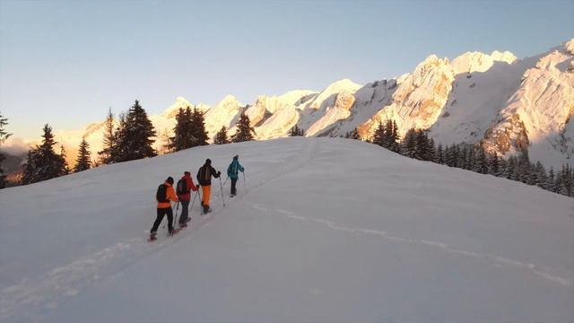 Sortir dans la neige avec vos raquettes TSL смотреть онлайн