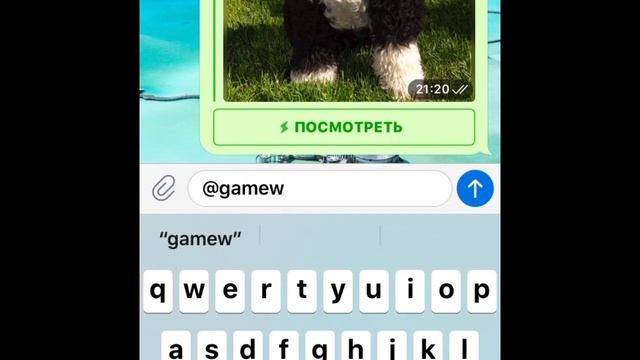 фишки «ТЕЛЕГРАМА» смотреть онлайн