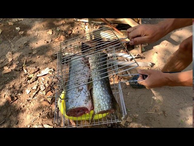 Рыбный день! 21.07.20 смотреть онлайн