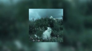 СЛОТ-Круги на воде Speed up