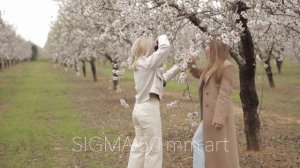 Canon Rf 50 mm f1.8 vs Sigma art 50 mm f 1.4 обзор