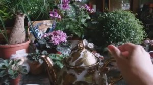 о жизни и семье - разговор за чашкой чая. Рената Смирнова. Рига