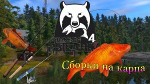 Рекомендация по сборкам на карпа РР4