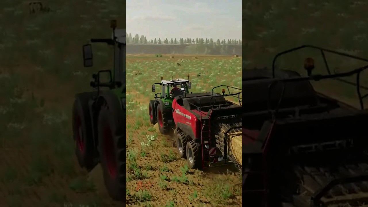 Такова соломы. смотреть онлайн