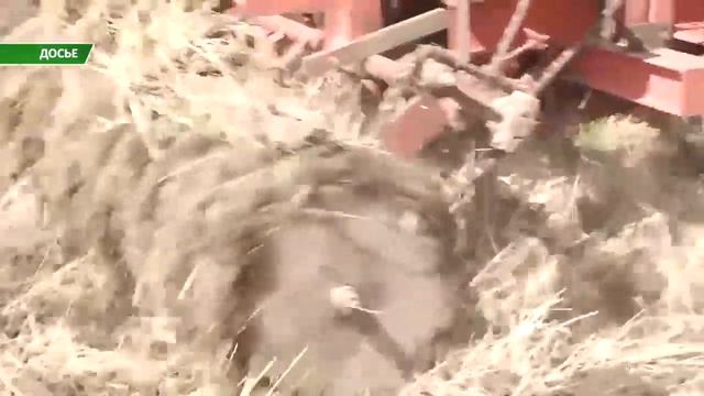 Дополнительные деньги выделили костанайским аграриям для субсидирования покупки семян смотреть онлайн