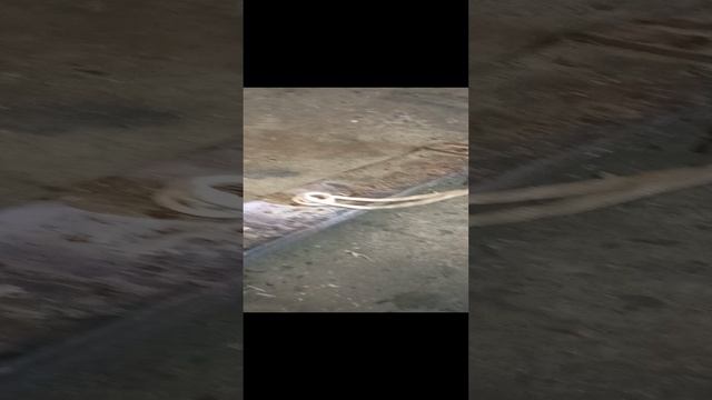 Выручалка автослесаря смотреть онлайн