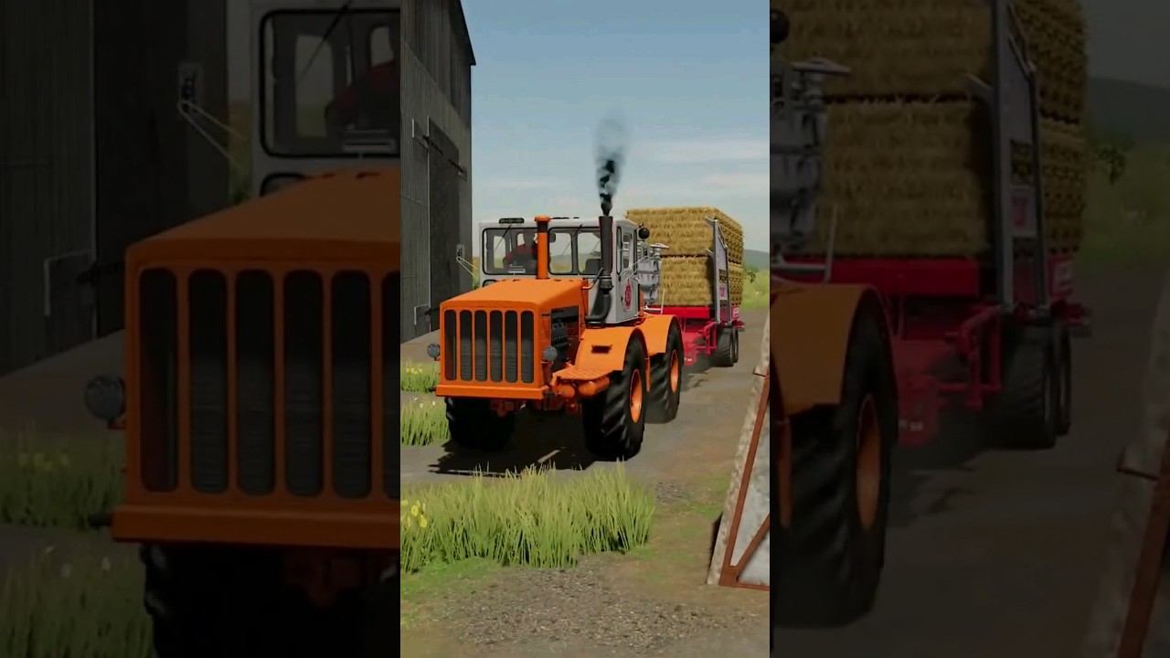 К-700 горбатый, вывозка тюков. смотреть онлайн