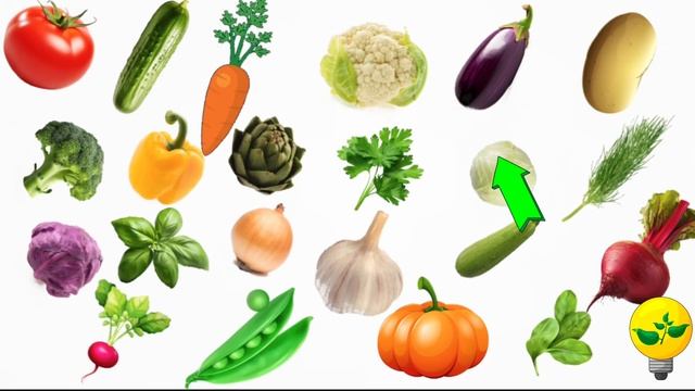 КӨКӨНІСТЕР. КӨКӨНІСТЕР ҚАЗАҚ ТІЛІНДЕ. ОВОЩИ НА КАЗАХСКОМ ЯЗЫКЕ. VEGETABLES IN KAZAKH смотреть онлайн