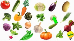 КӨКӨНІСТЕР. КӨКӨНІСТЕР ҚАЗАҚ ТІЛІНДЕ. ОВОЩИ НА КАЗАХСКОМ ЯЗЫКЕ. VEGETABLES IN KAZAKH