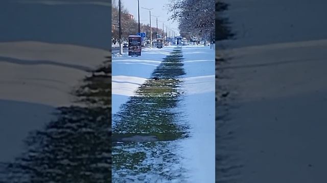 В Пинске по-богатому. Овощной парник на Центральной улице и золотые дрова в магазине. #пинск #pinsk смотреть онлайн
