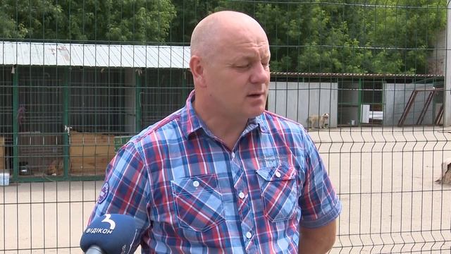 У Сумах завершують облаштування комунального Центру перетримки безпритульних тварин смотреть онлайн