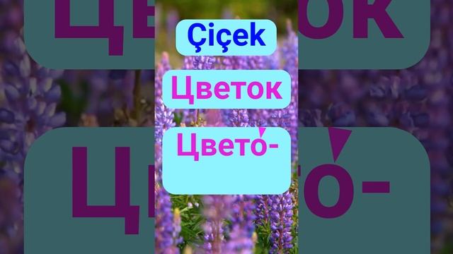 ТУРЕЦКИЙ ЯЗЫК ПО АССОЦИАЦИЯМ - УРОКИ И ГРАММАТИКА ТУРЕЦКОГО ЯЗЫКА ДЛЯ НАЧИНАЮЩИХ смотреть онлайн