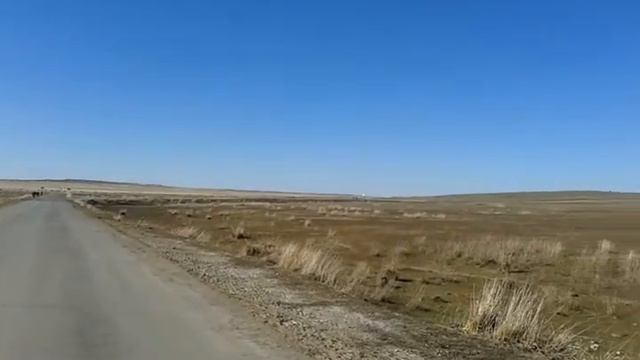 Нұраталды су таскыны смотреть онлайн